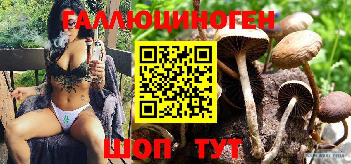 Всеволожск  Псилоцибиновые грибы Magic Shrooms  закладки  Вход с VPN 